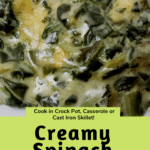 Creamy Spinach Cheese Bake Pinterest pin