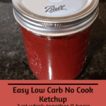 Easy Low Carb No Cook Ketchup Pinterest pin