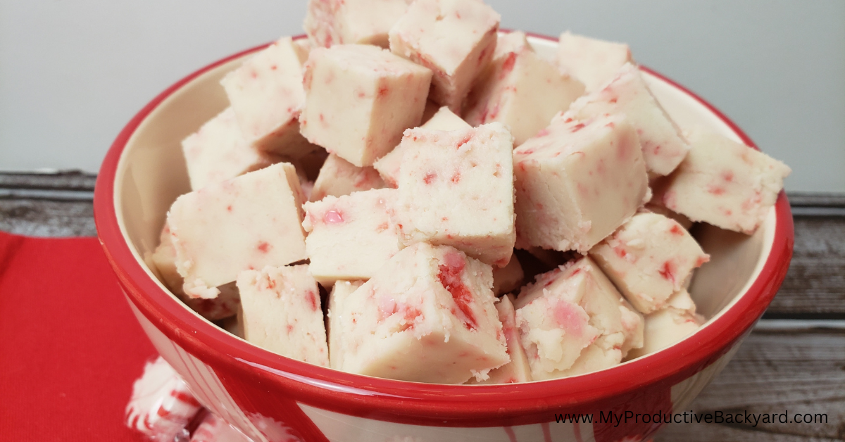 Straightforward Keto Peppermint Fudge – My Productive Yard