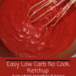 Easy Low Carb No Cook Ketchup Pinterest pin