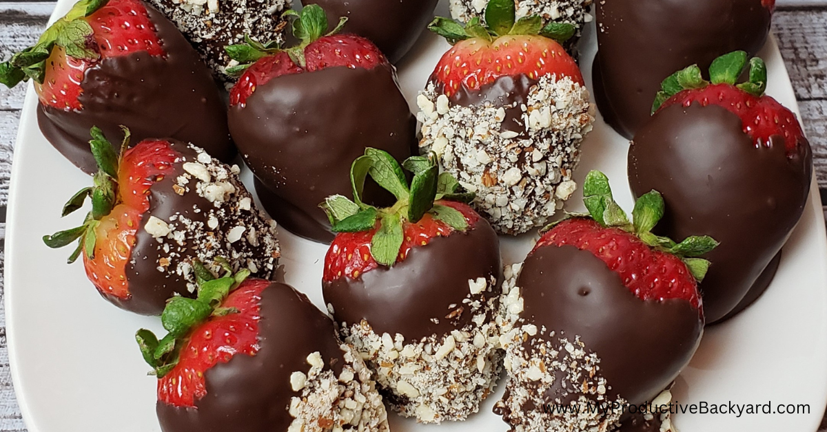 Keto Chocolate Lined Strawberries – My Productive Yard