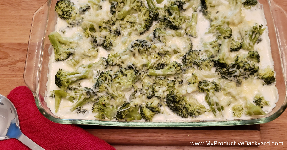 Low Carb Rooster Broccoli Alfredo Casserole